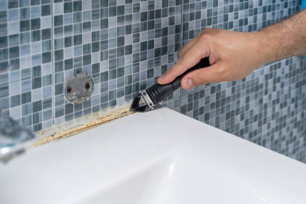 Best Mold Cleaning Services  in Kings Park, NY
