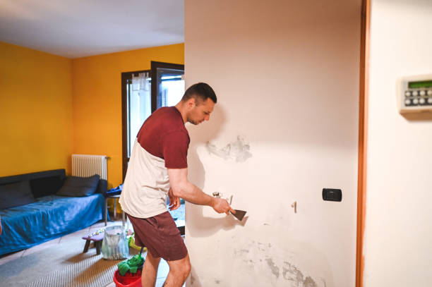 Best Mold Remediation Experts  in Kings Park, NY